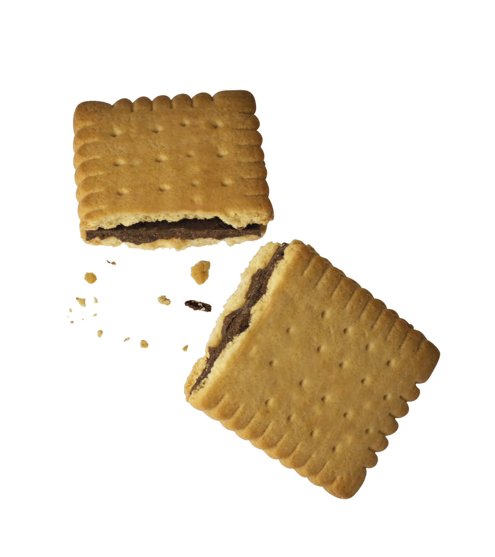 FoxBoards Koekje