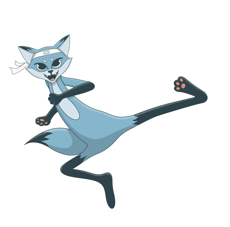 Fox Boards Mascotte